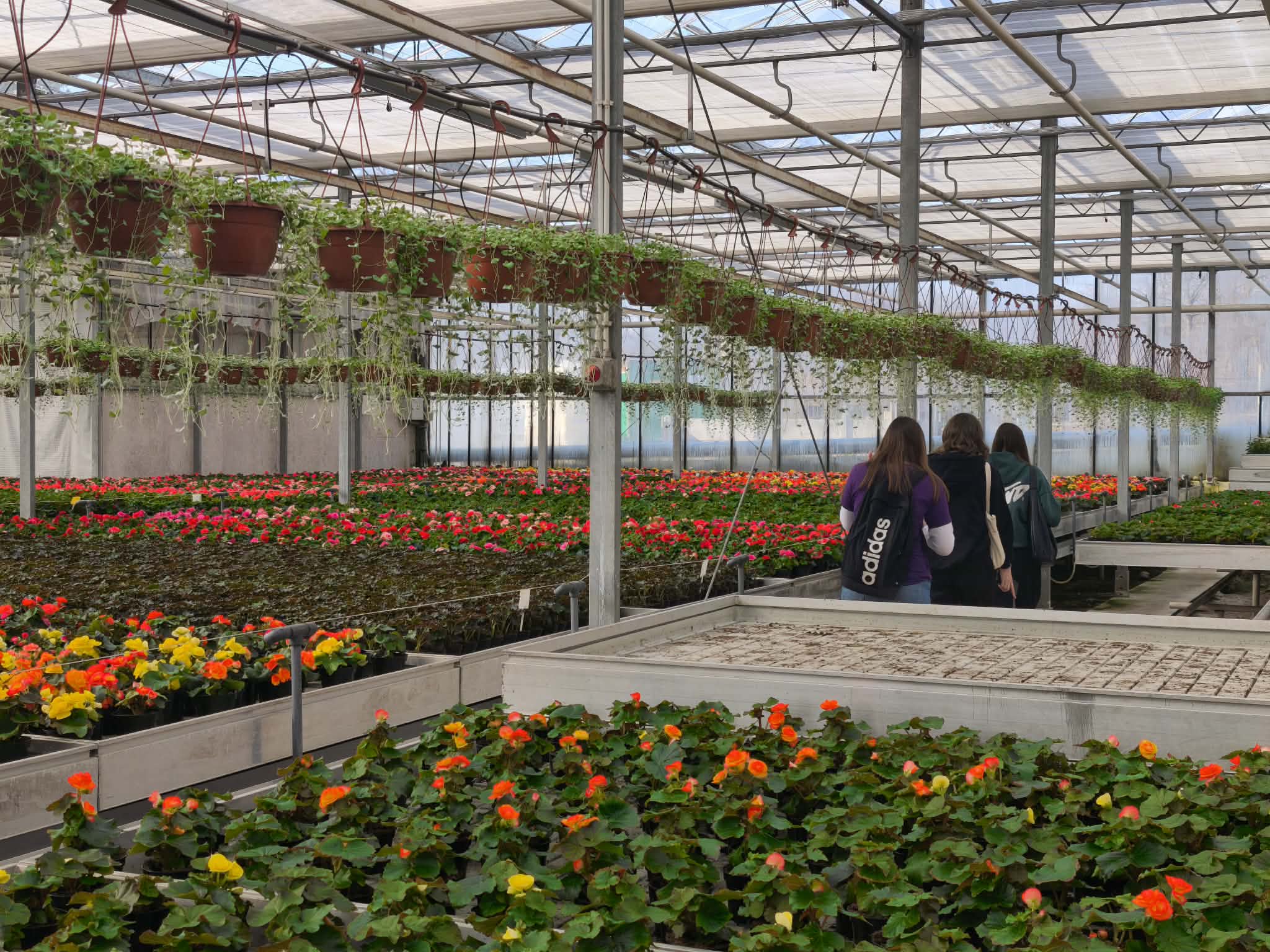 9d4f2317 b4a3 4254 a9f5 36ccd466349d