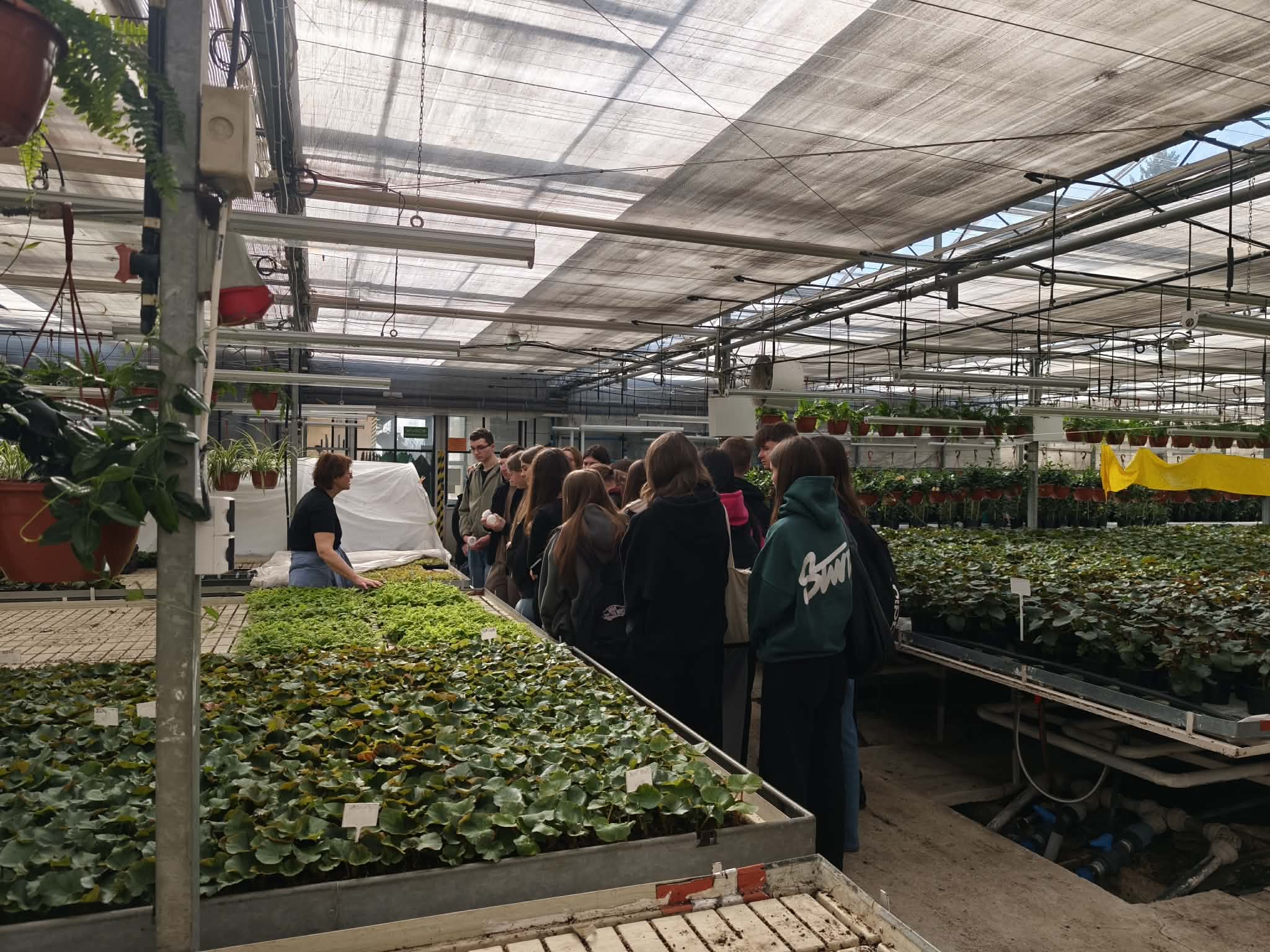 ab11844b 0173 4c6e b451 f73c3a7fee12